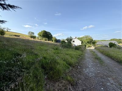 Picture 27
